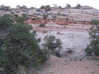 Canyonlands National Park - Neck Spring