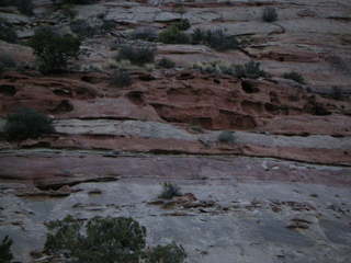 Canyonlands National Park - Neck Spring