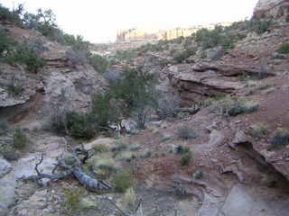 Canyonlands National Park - Neck Spring