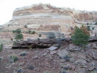 Canyonlands National Park - Neck Spring