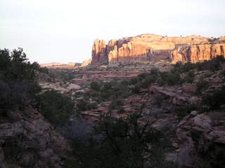 Canyonlands National Park - Neck Spring - dawn