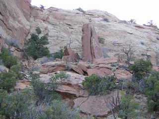 Canyonlands National Park - Neck Spring