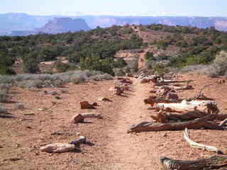 Canyonlands National Park - Murphy Point