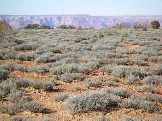 Canyonlands National Park - Murphy Point