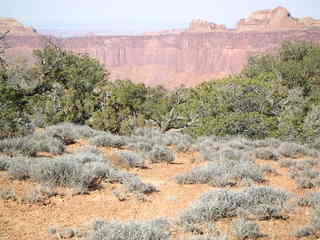 Canyonlands National Park - Murphy Point