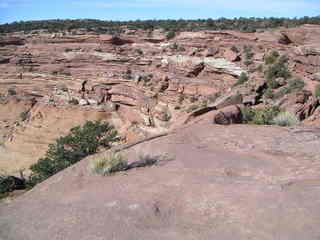 Canyonlands National Park - Murphy Point