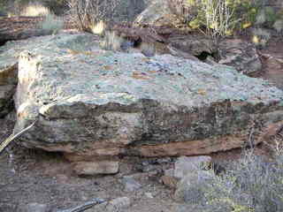 Canyonlands National Park - Neck Spring