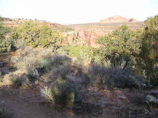 Canyonlands National Park - Neck Spring