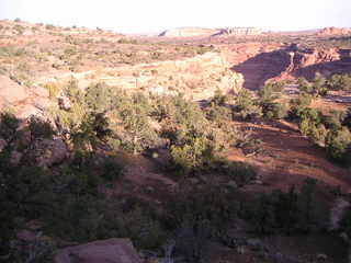 Canyonlands National Park - Neck Spring