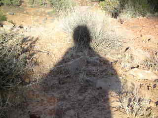 Canyonlands National Park - Neck Spring