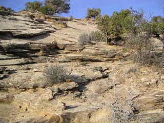 Canyonlands National Park - Neck Spring