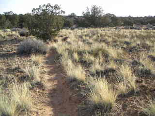 Canyonlands National Park - Neck Spring