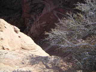 Canyonlands National Park - Neck Spring