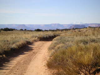 Canyonlands National Park - Neck Spring