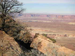 Canyonlands National Park - Neck Spring