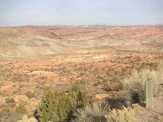 Canyonlands National Park - Buck Canyon