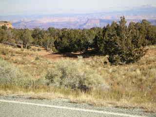 Canyonlands National Park - view from road