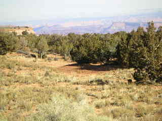 Canyonlands National Park - Buck Canyon