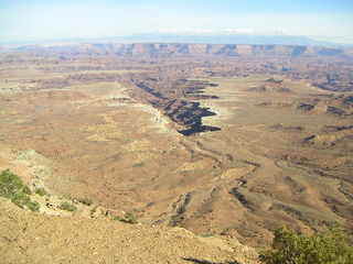 Canyonlands National Park - Buck Canyon