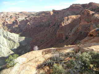 Canyonlands National Park - Whale Rock