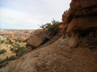 Canyonlands National Park - Grand View Point Overlook