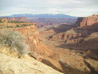 Canyonlands National Park - Buck Canyon Overlook