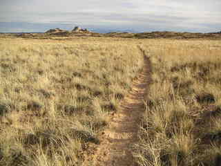 Canyonlands National Park - Buck Canyon Overlook