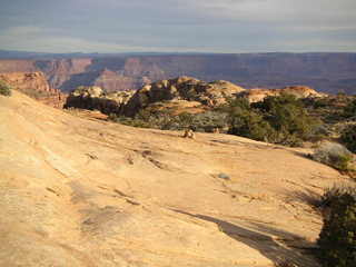 Canyonlands National Park - Buck Canyon Overlook