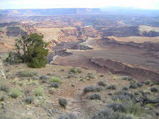 Canyonlands National Park - Shafer