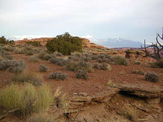 Canyonlands National Park - Lathrop