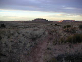 Canyonlands National Park - Lathrop