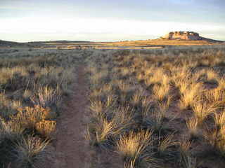 Canyonlands National Park - Lathrop