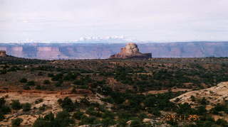 Canyonlands National Park - Buck Canyon Overlook