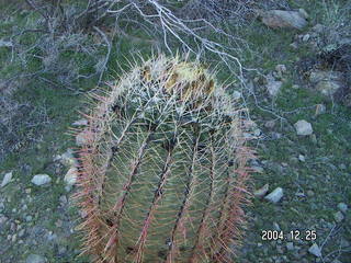 Sunrise Trail