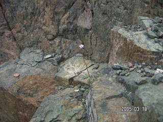 Grand Canyon -- South Kaibab
