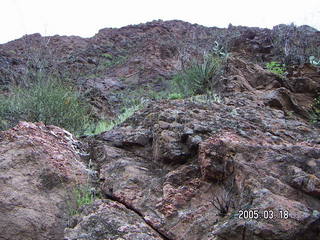 Grand Canyon -- Greg and Eleanor amid wildflowers