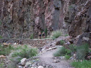 Grand Canyon -- yellow and purple flowers