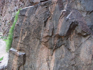 Grand Canyon -- stream