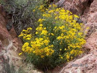 Grand Canyon -- Greg on Black Bridge -- South Kaibab