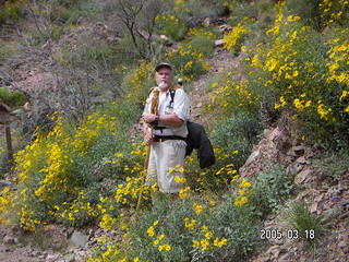 Grand Canyon -- Colorado River -- South Kaibab