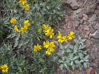 Grand Canyon -- Colorado River -- South Kaibab