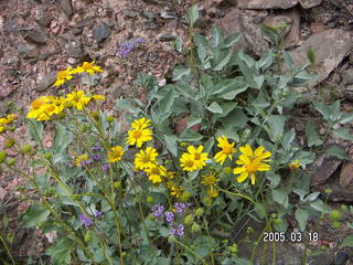 Grand Canyon -- Black Bridge -- South Kaibab