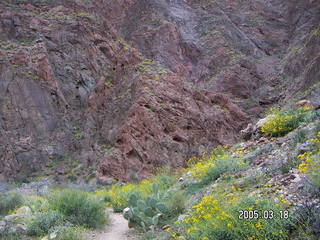 Grand Canyon -- North Kaibab trail and stream