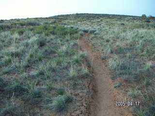 Canyonlands National Park -- Lathrop Trail