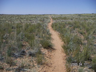 Canyonlands National Park -- Lathrop Trail
