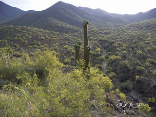 Lost Dog Wash trailhead