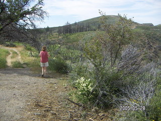 Linda Lee walking in burnt tree countryside