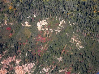 North Rim vegetation -- aerial