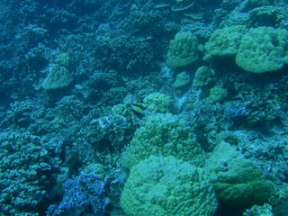 Tim and Dana Higel in Bora Bora