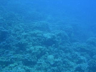 Tim and Dana Higel in Bora Bora